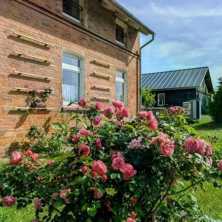 Feriendomizil Sommergruen Mit Garten Lägenhet