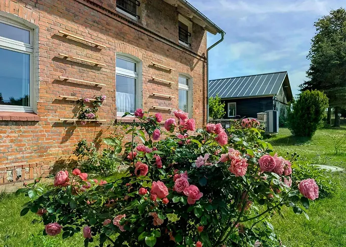 Feriendomizil Sommergruen Mit Garten Apartment