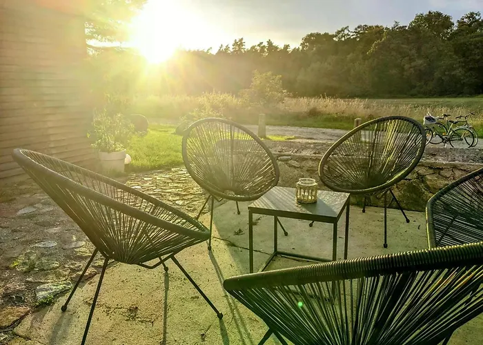 Apartment Feriendomizil Sommergruen Mit Garten *